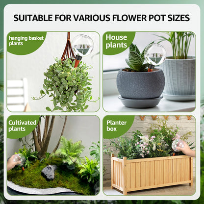 Automatic Self Watering Bulbs for Easy Plant Care - Smarsty