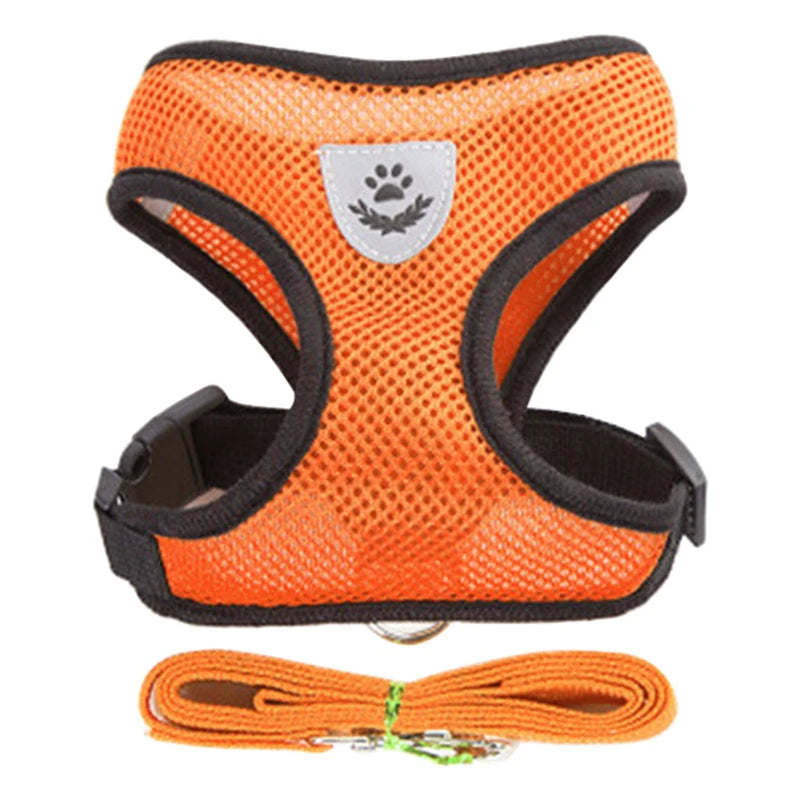 Adjustable Dog Harness and Leash Set for Small Dogs - Smarsty