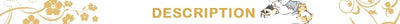 Stainless Steel Cheese Grater Slicer Lemon Zester Chocolate Chopper Fruit Peeler Planer Vegetables Cutter Kitchen Gadgets by Smarsty