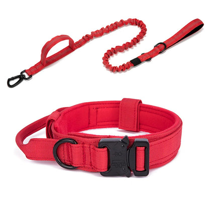 Durable Reflective Nylon Dog Collar and Leash Set - Smarsty