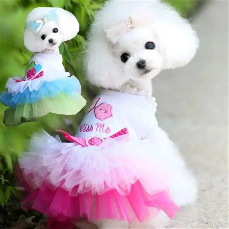 Cute Lace Puppy Dress for Summer Pet Apparel - Smarsty