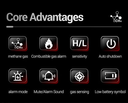 ANENG GN801 Gas Leak Detector with LCD Display - Smarsty