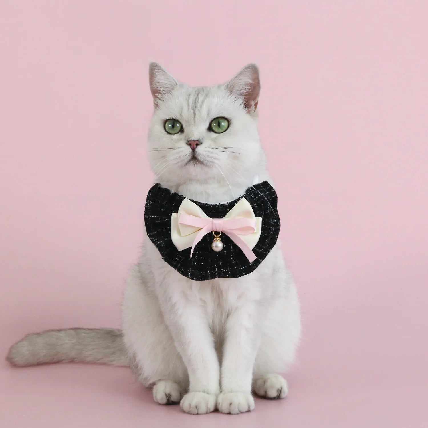 Elegant Pet Princess Outfit Set for Cats and Small Dogs - Smarsty