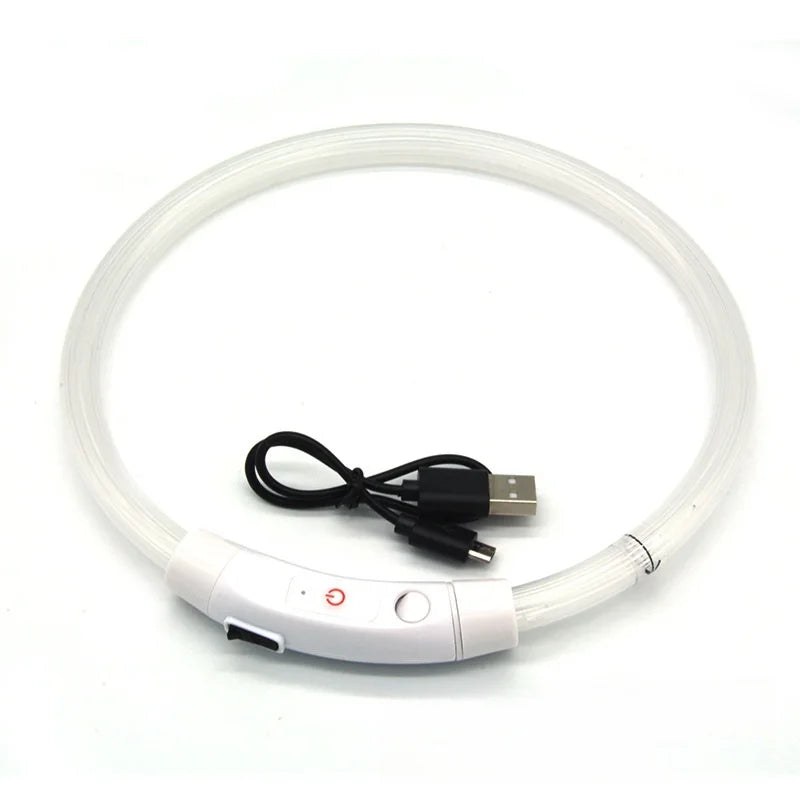 USB Rechargeable LED Dog Collar for Night Safety - Smarsty