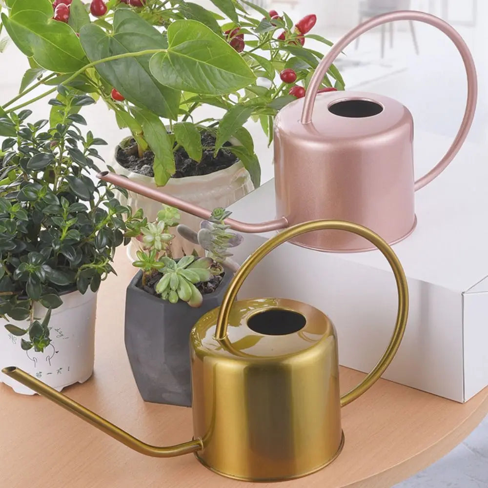 Rustproof Leakproof Stainless Steel Watering Can with Long Nozzle - Smarsty