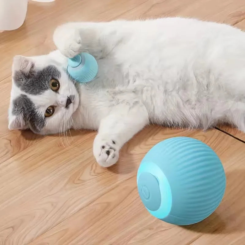 Interactive Rechargeable Cat Ball Toy for Engaging Play - Smarsty