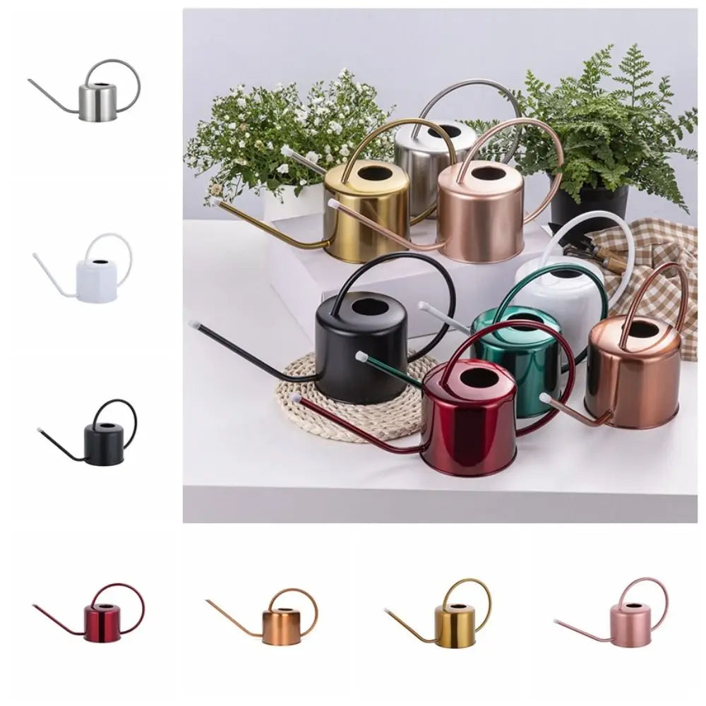 Rustproof Leakproof Stainless Steel Watering Can with Long Nozzle - Smarsty