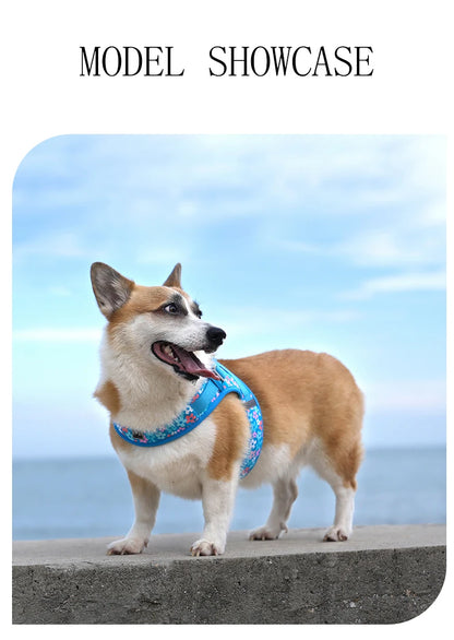 Truelove Floral Mesh Harness for Dogs and Cats - Smarsty