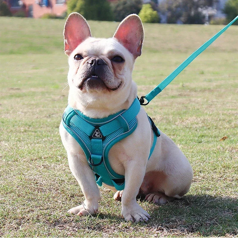 No Pull Adjustable Dog Harness and Leash Set - Smarsty