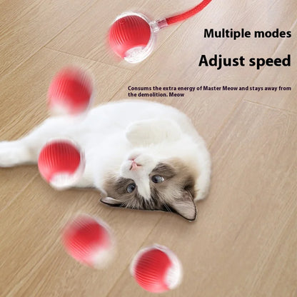 Rechargeable Interactive Cat Toy Smart Rolling Ball - Smarsty