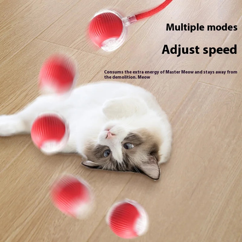 Rechargeable Interactive Cat Toy Smart Rolling Ball - Smarsty