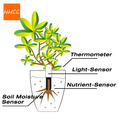 Smart Soil Water Tester for Healthy Plants - Smarsty