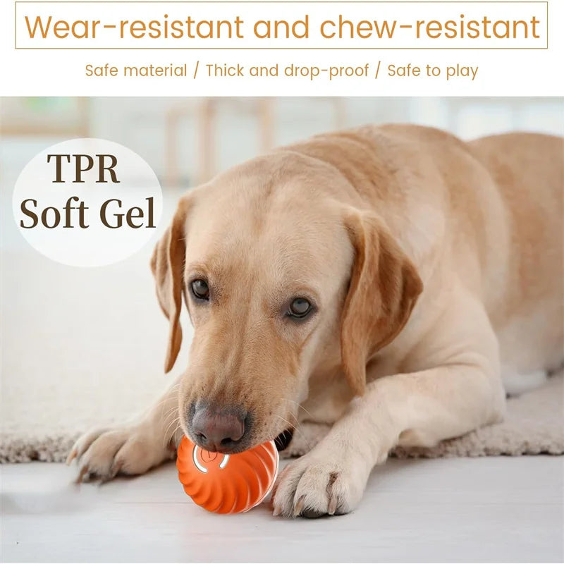 Interactive Smart Dog Toy Ball For Active Play - Smarsty