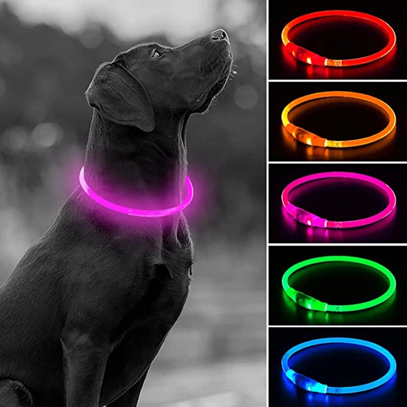 LED USB Dog Collar for Night Safety and Visibility - Smarsty