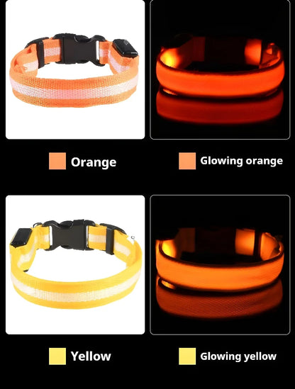 LED Nylon Dog Collar for Night Safety and Visibility - Smarsty