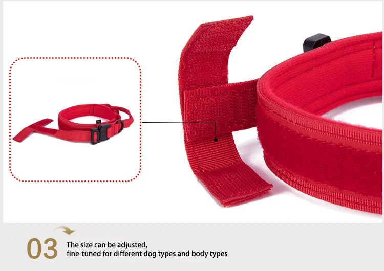 Durable Reflective Nylon Dog Collar and Leash Set - Smarsty