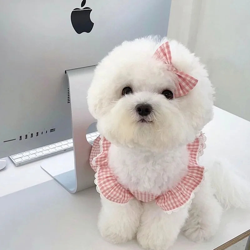 Pink Plaid Lace Dog Dress for Summer Comfort - Smarsty