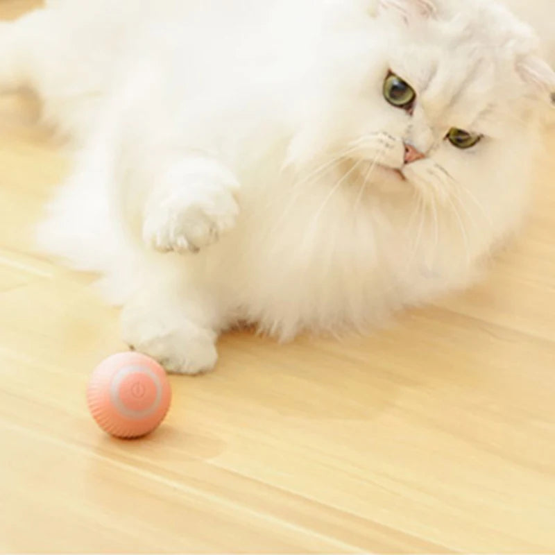 Interactive Rechargeable Cat Ball Toy for Engaging Play - Smarsty