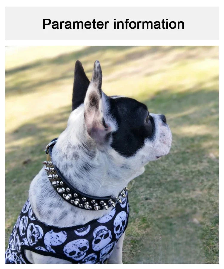 Adjustable Leather Dog Collar with Spikes for Small Pets - Smarsty