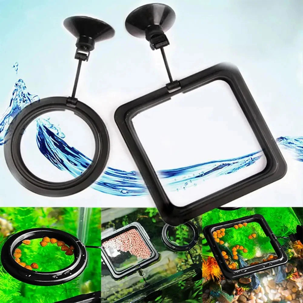 Black Aquarium Feeding Ring with High Capacity Design - Smarsty