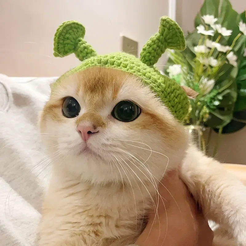 Cute Frog Cat Hat with Bunny Ears for Fun Costumes - Smarsty