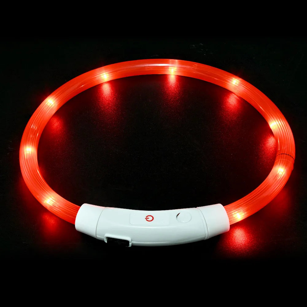 USB Rechargeable LED Dog Collar for Night Safety - Smarsty