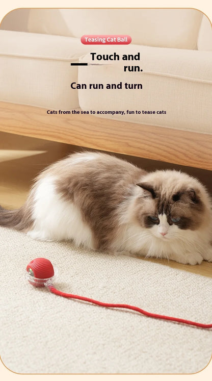Rechargeable Interactive Cat Toy Smart Rolling Ball - Smarsty