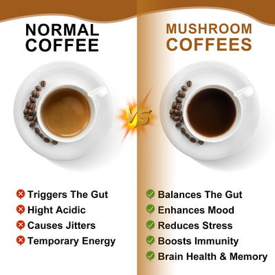 Mushroom Coffee 10 Mushroom Extract - Lion's Mane, Cordyceps, Reishi, Turkey Tail, Chaga, Maitake for energy and immune support - Smarsty