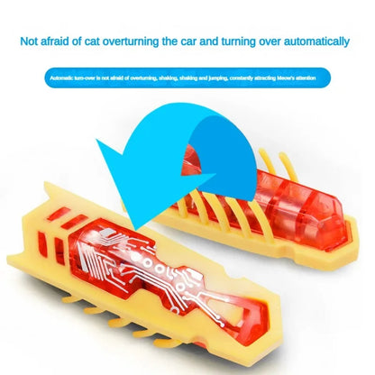 Interactive Electric Bug Cat Toy for Engaging Play - Smarsty