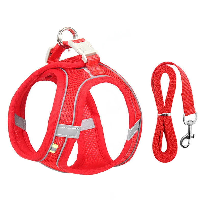 Adjustable Dog Harness Leash Set for Small Dogs - Smarsty