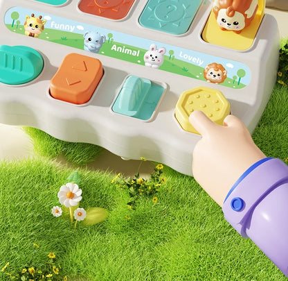 Montessori Pop up Animal Toys and Learning Boxes Enhance Logical Thinking and Motor Skills Suitable for Children's Birthday Gift
