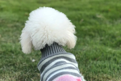 Warm Dog Coat for Small Dogs Winter Jacket - Smarsty
