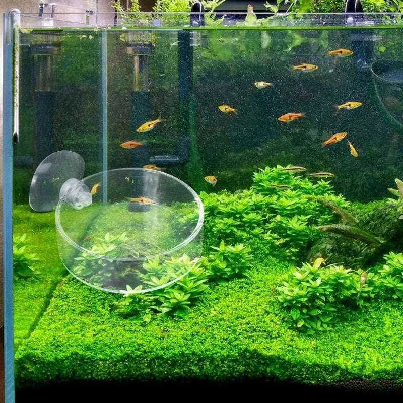 Mini Shrimp Feeding Dish with Suction Cup for Aquariums - Smarsty