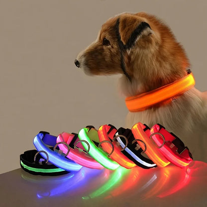 Nylon LED Glow In The Dark Dog Leash - Smarsty