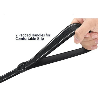 Heavy Duty Dog Leash with Dual Handles for Control - Smarsty