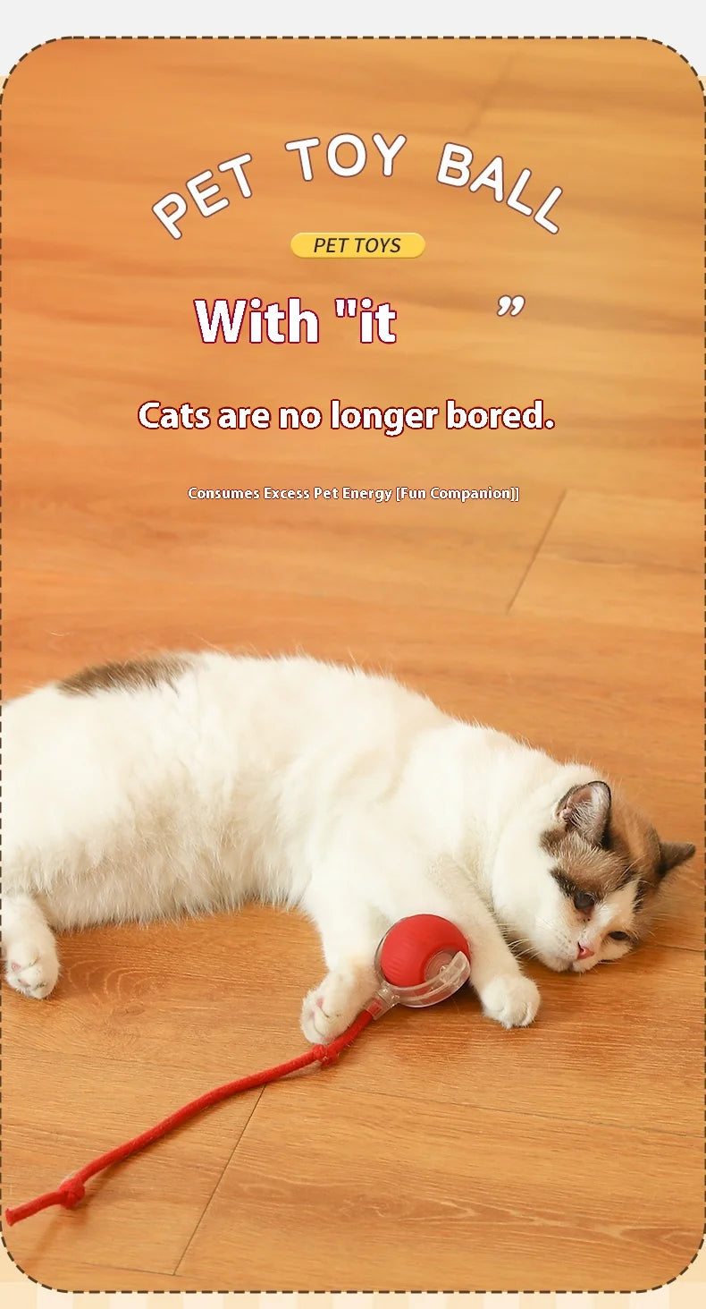 Rechargeable Cat Interactive Ball Toy With Faux Tail - Smarsty