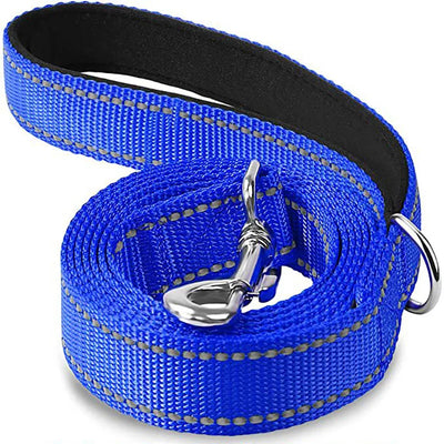 Reflective Dog Harness Leash for Safe Night Walks - Smarsty