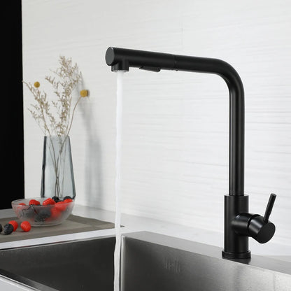 Black Stainless Steel Pull Out Kitchen Faucet with Free Shipping - Smarsty