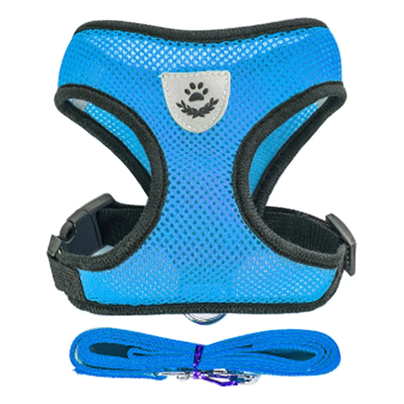 Adjustable Dog Harness and Leash Set for Small Dogs - Smarsty