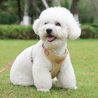 Puppy Harness Leash Set for Small Dogs - Smarsty
