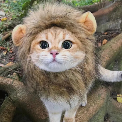 Lion Mane Wig Hat for Dogs and Cats - Smarsty