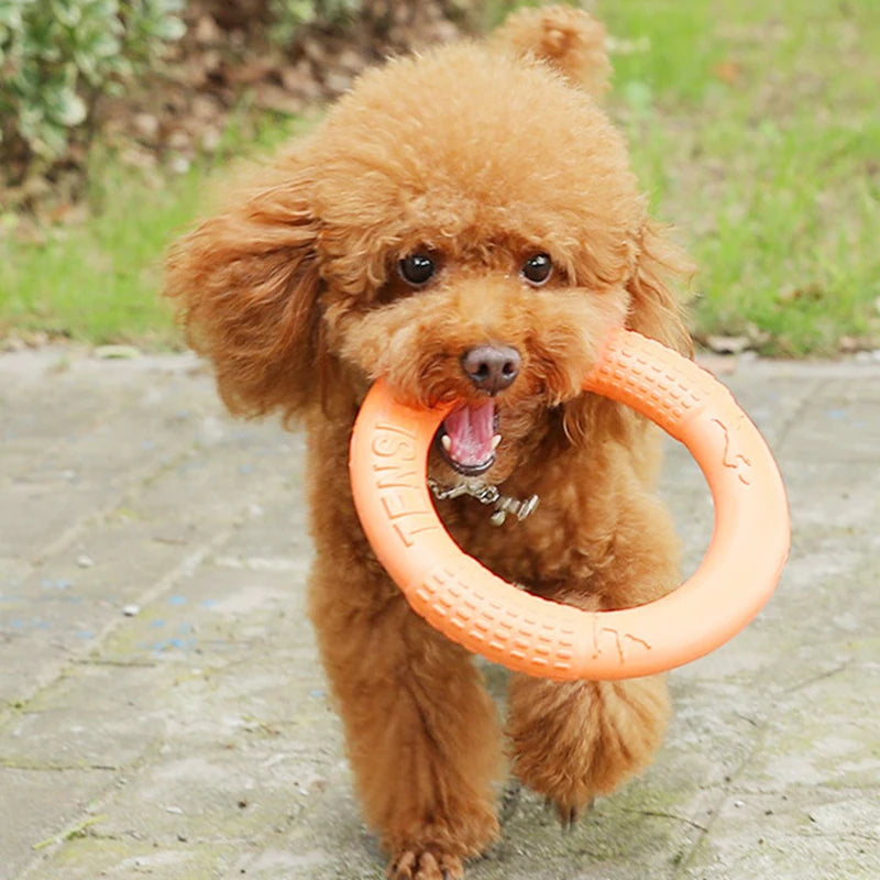 Interactive Dog Flying Disk Toy for Training - Smarsty