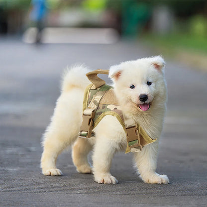 Adjustable Tactical Puppy Harness and Leash for Training - Smarsty