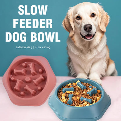 Slow Feeder Dog Bowl for Healthy Eating - Smarsty