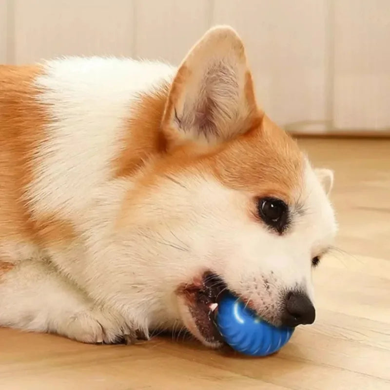 Automatic Moving Dog Toy Ball for Interactive Play - Smarsty