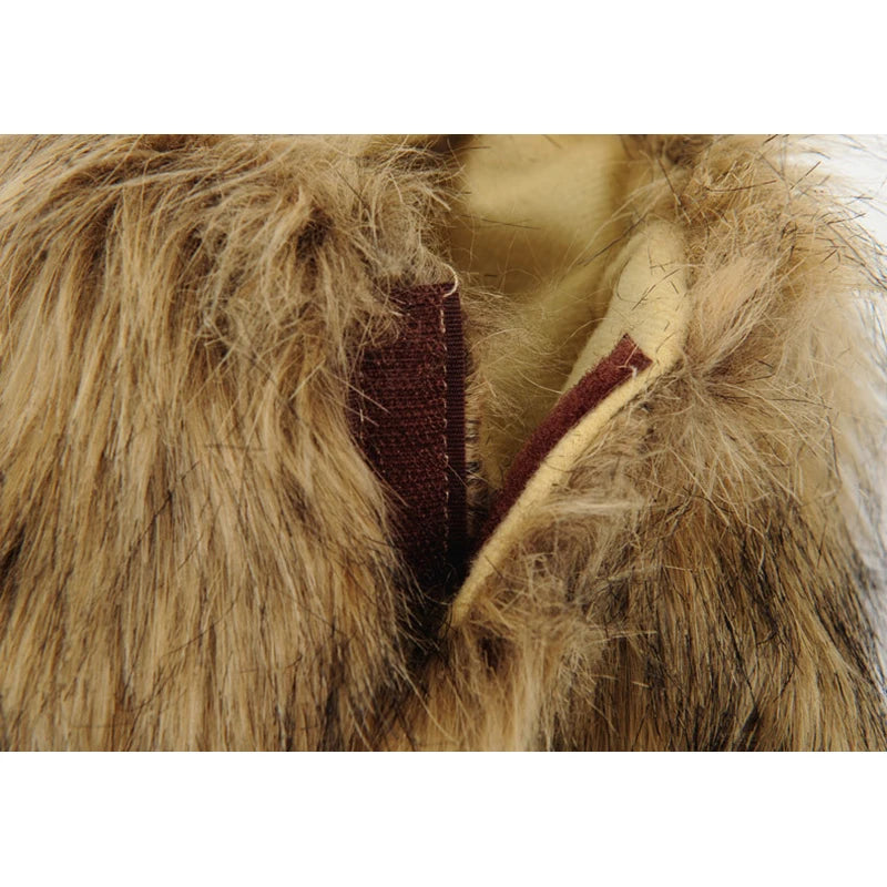 Lion Mane Wig Hat for Dogs and Cats - Smarsty