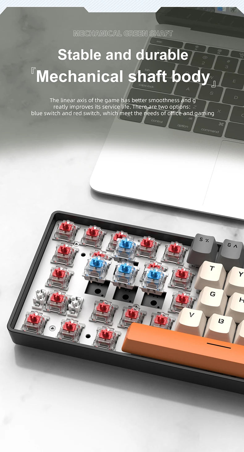 Compact 60 Percent Mechanical Keyboard RGB Wired Gaming