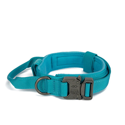Durable Reflective Nylon Dog Collar and Leash Set - Smarsty