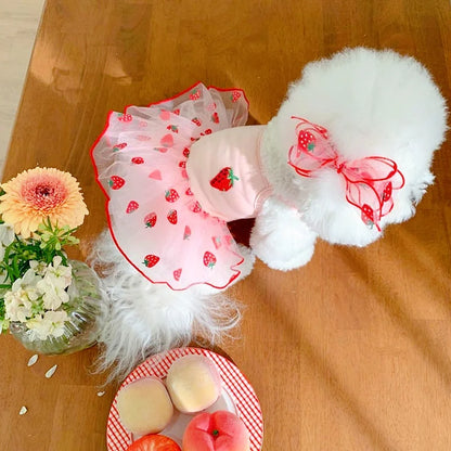Luxury Strawberry Dog Dress for Spring and Summer - Smarsty