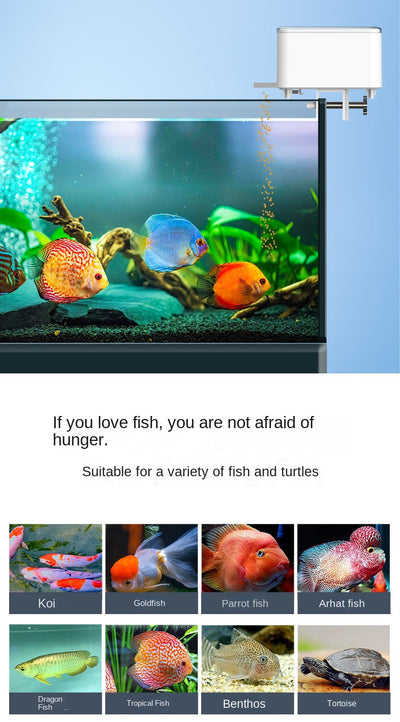 Automatic WiFi Fish Tank Feeder with Voice Control - Smarsty